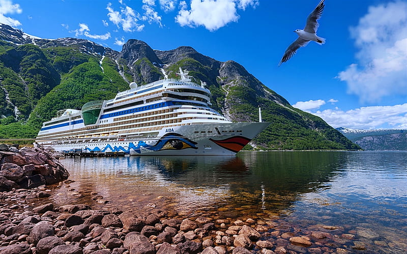 AIDAnova, cruise ships, pier, gull, MS AIDAnova, HD wallpaper