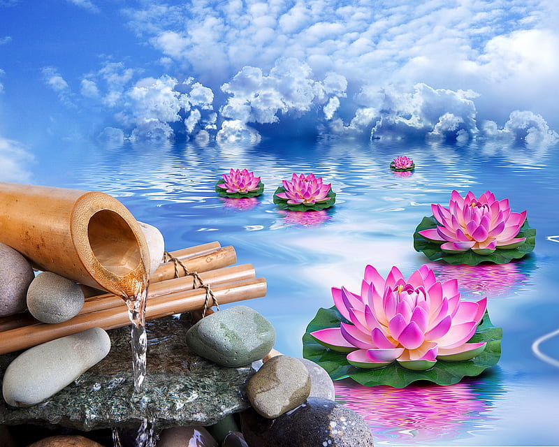 Relaxation, bamboo, flower, lily, stones, water, HD wallpaper