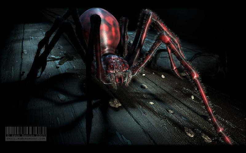Spider, fantasy, horror, animal, HD wallpaper