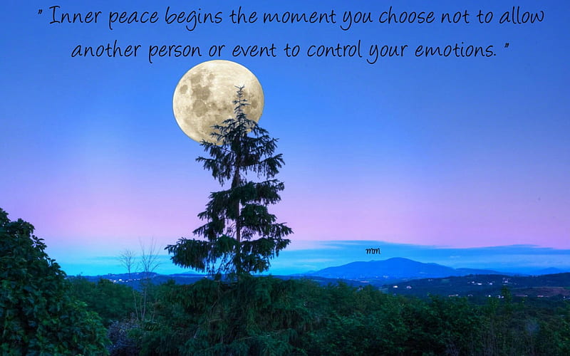 Inner Peace, Words, Sky, Moon, Tree, Thoughts, Blue, Nature, Quotes, HD wallpaper