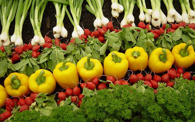 vegetables, spring onion, capsicum, vegetable, radish, HD wallpaper