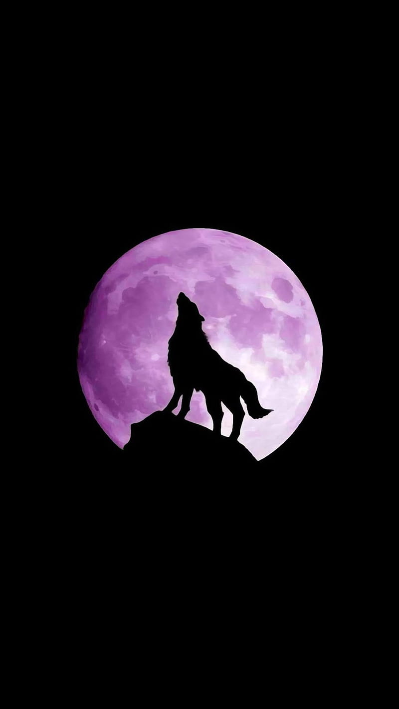 Purple Moon, wolf, howl, full, howling, night, silhouette, mountain, HD phone wallpaper