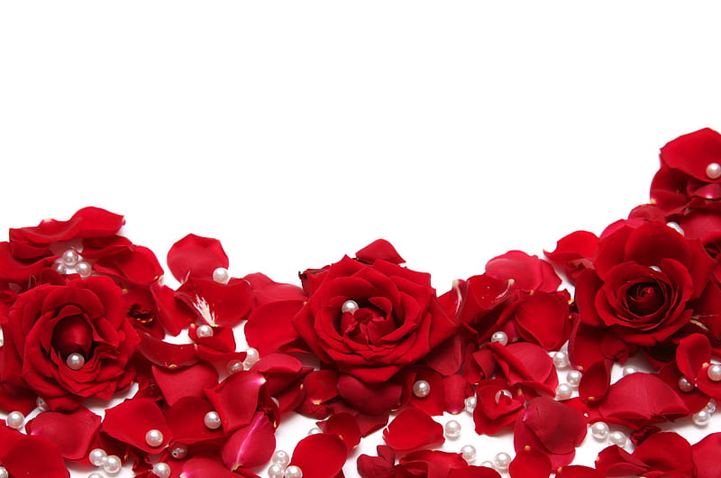 * With Love *, red, decoration, celebration, roses, birtay, elegant, decor, festive, love, flowers, HD wallpaper