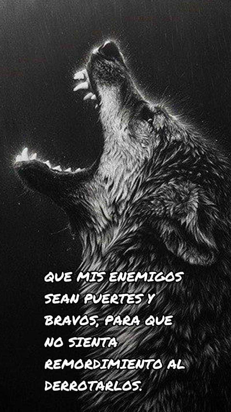 Enemigos, lobo, wolf, HD phone wallpaper | Peakpx