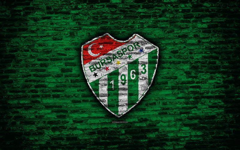Bursaspor FC, logo, Turkey, brick wall, Super Lig, soccer, football club, Bursaspor, brick texture, football, FC Bursaspor, HD wallpaper