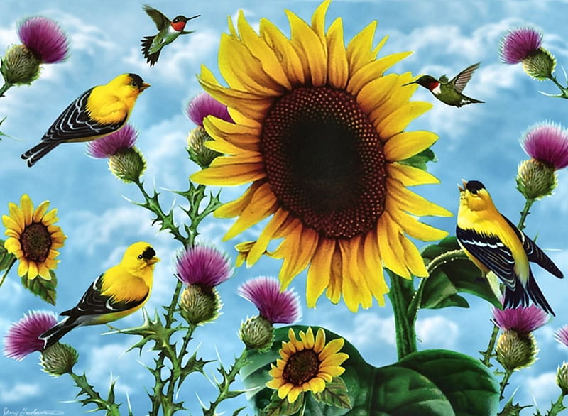 Sunflowers and Songbirds F1C, art, hummingbirds, sunflowe, cat, artwork, animal, feline, bird, avian, painting, wide screen, wildlife, Goldfinches, HD wallpaper