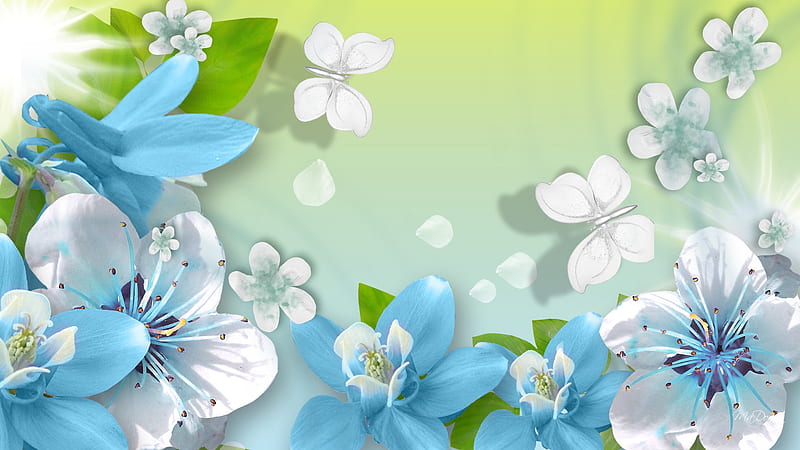 Summer Romance, firefox persona, scatter, flower petals, butterfly, green, summer, flowers, white, blue, HD wallpaper