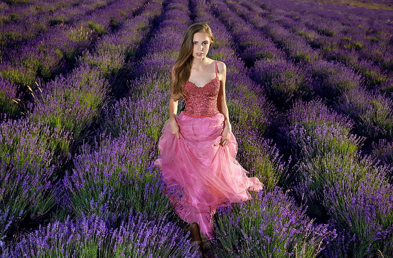 Lavender Field Girl Dress Cute , girls, model, lavender, flowers, field, HD wallpaper
