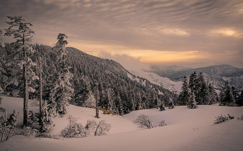 winter mountain landscape, forest, sunset, evening, snow, mountains, winter, HD wallpaper