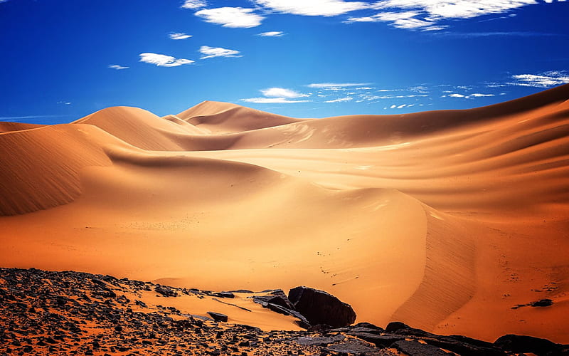 Algeria sand dunes, desert, Africa, HD wallpaper