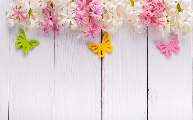 Happy Spring!, hyacinth, green, butterfly, yellow, spring, pink, white, card, HD wallpaper