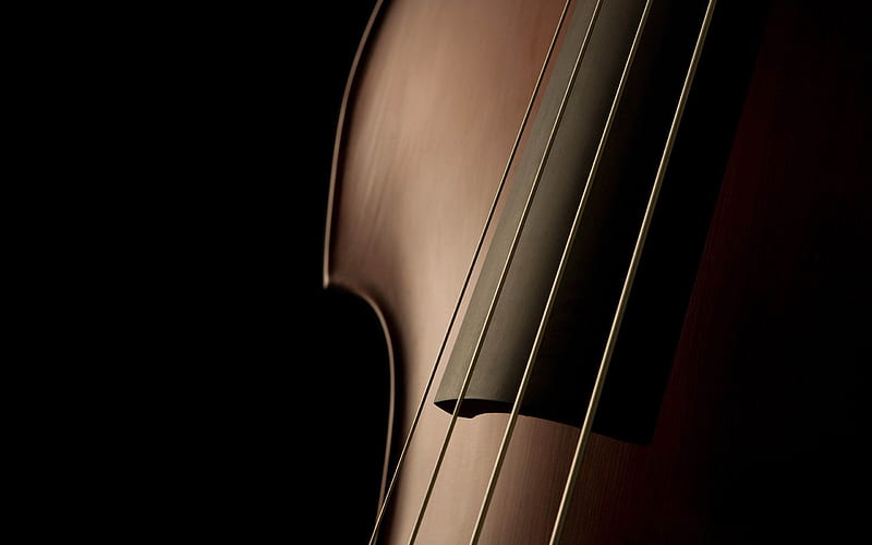 double bass close up-music theme, HD wallpaper