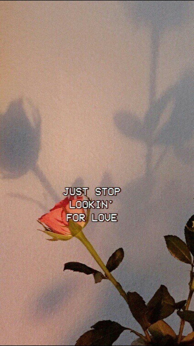 GLITCHLOVE, aesthetic, glitch, love, nature, quote, rose, sad, tumblr, HD phone wallpaper