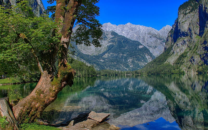 Obersee Lake, summer, mountains, Berchtesgaden Alps, Bavaria, Germany, HD wallpaper