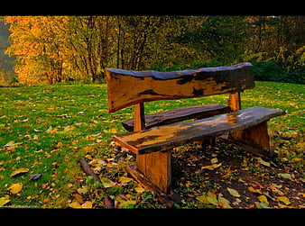 HD a seat in nature wallpapers | Peakpx