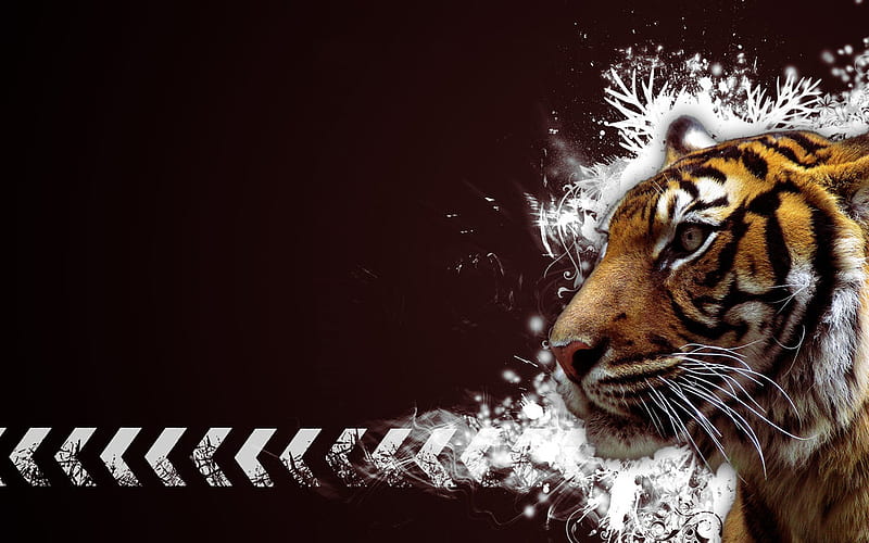 Bengal Tiger Vector, black stripe, art, tigers, black, tiger, cat, bengal, jungle, hot, cats, animals, HD wallpaper
