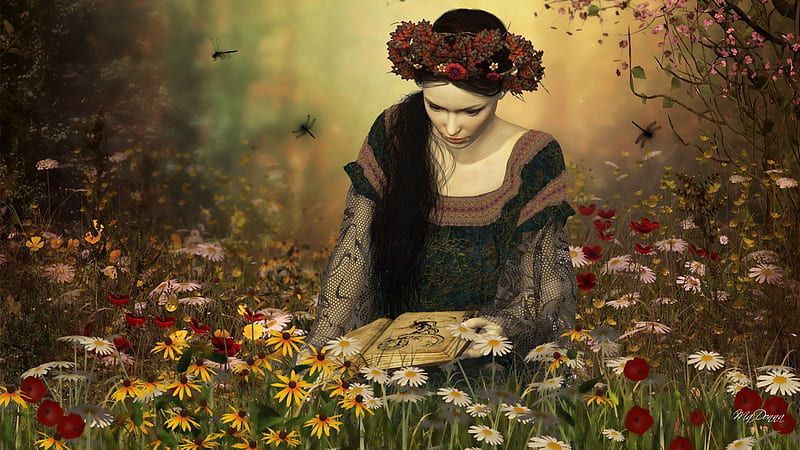 Reading Among the Wild Flowers, forest, wild flowers, book, bonito, read, woman, flowers, garden, field, light, vintage, HD wallpaper