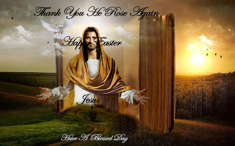 Thank You Rose Again To Use, Savior, resurrect, Jesus, Master, grandma gingerbread, Thank You, Lord, resurrected, love, resurrection, HD wallpaper
