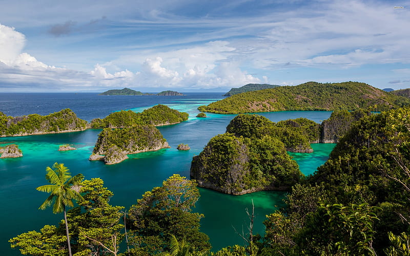 Raja Ampat Islands in Indonesia, turquoise, oceans, islands, green, nature, trees, sea, blue, HD wallpaper