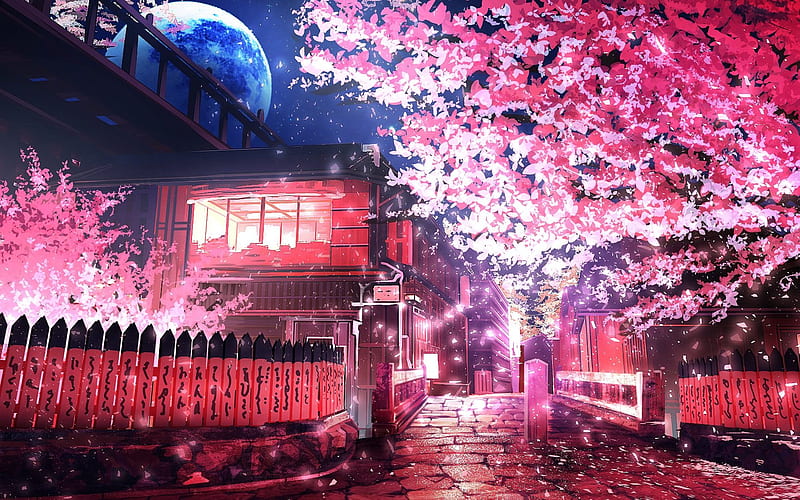 japanese city, street, spring, night, sakura, cherry trees, HD wallpaper
