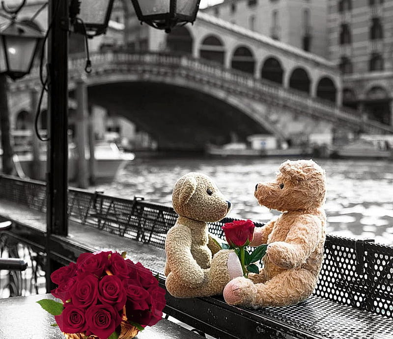 ღ, red, roses, teddy bear, two, HD wallpaper | Peakpx