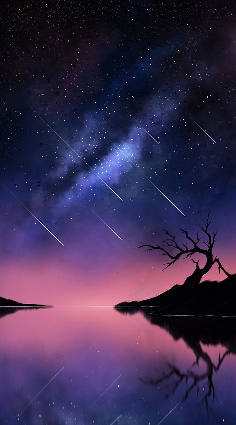 comets, space, tree, silhouette, HD phone wallpaper