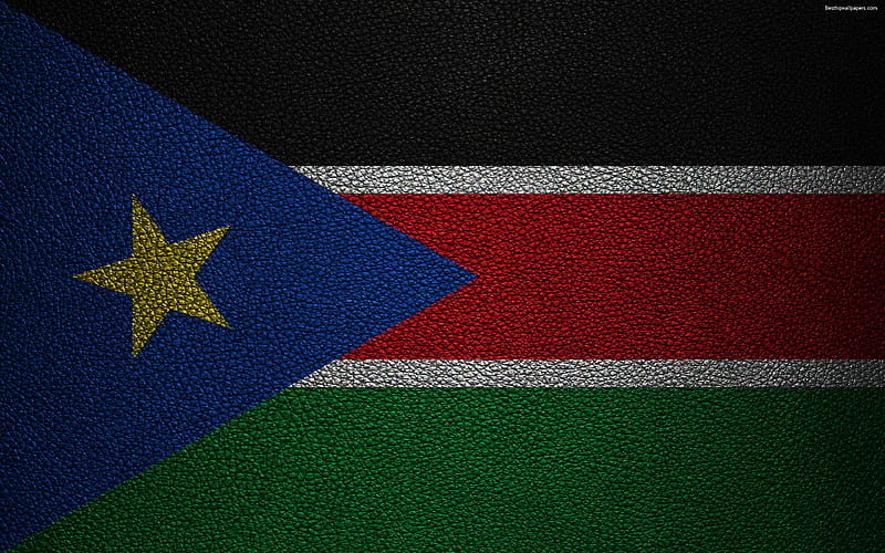 Flag of South Sudan, Africa leather texture, South Sudanese flag, flags of Africa, South Sudan, HD wallpaper