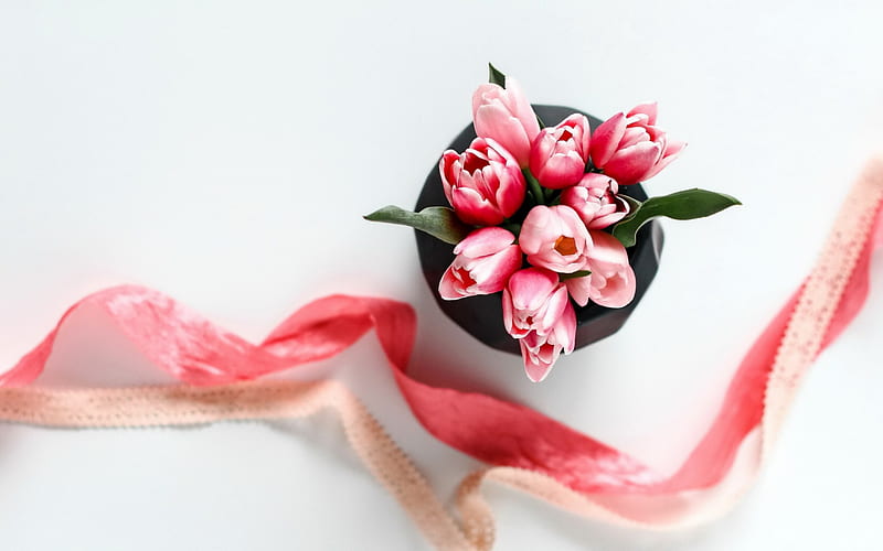 pink tulips, spring flowers, pink silk ribbon, tulips, HD wallpaper