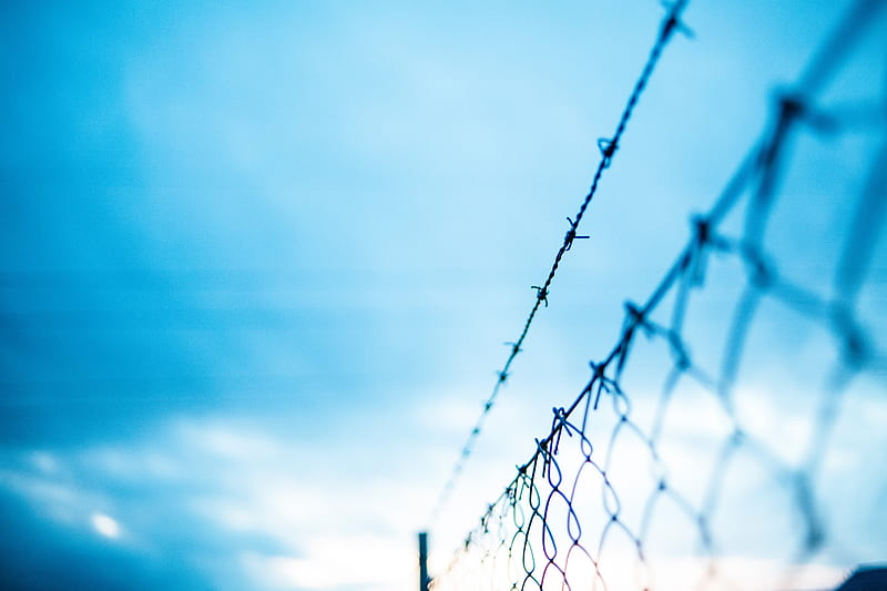mesh, barbed wire, fence, fencing, barbed, HD wallpaper