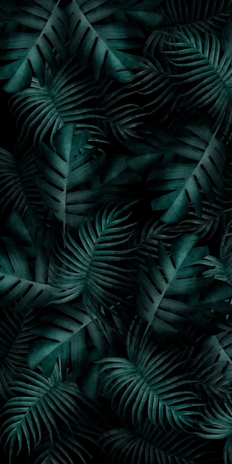 tropical leaves, abstract, flora, tree, HD phone wallpaper