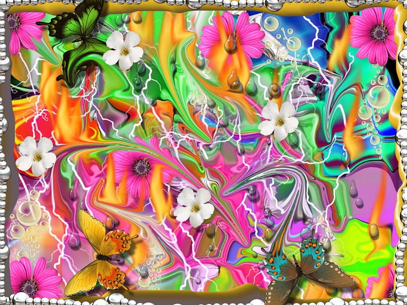 Mariposa Bella, flowers, butterfly, HD wallpaper | Peakpx