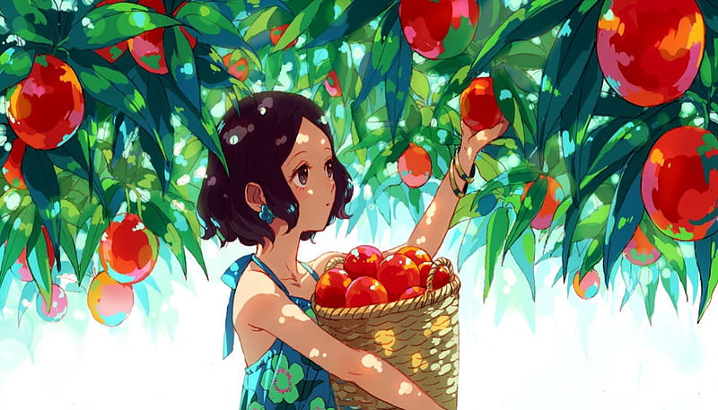 Girl Cut Fruit, red, pretty, bonito, sweet, fruit, green, anime, beauty, light, blue, lovely, apples, sky, trees, short hair, cute, girl, HD wallpaper
