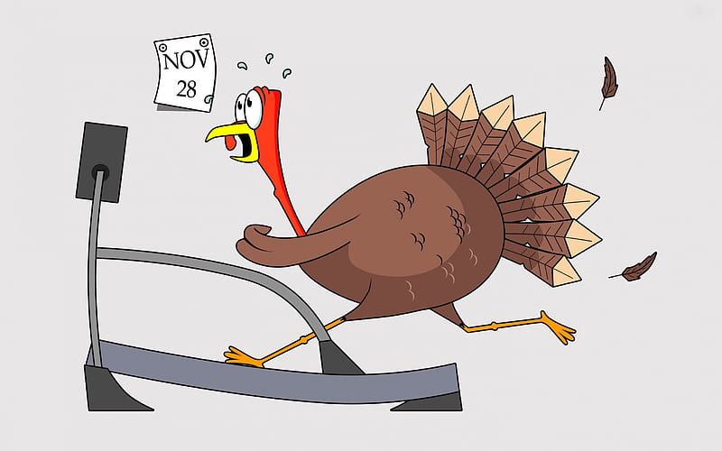 Turkey Humor, Fall, treadmill, Thanksgiving, turkey, November, Autumn, HD wallpaper