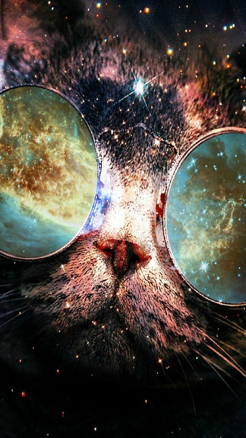 Galaxy cat, cat, cats, cool, fantasy, galaxy, moon, space, HD phone wallpaper