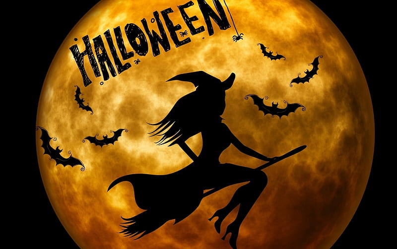 All Hallows' Eve, witch, bats, silhouettes, spider, broom, hat, moon, full moon, witchs hat, Halloween, HD wallpaper