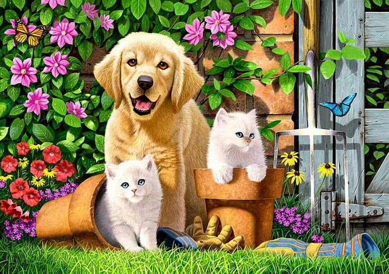 We are Friends, flowers, cats, friends, dog, HD wallpaper