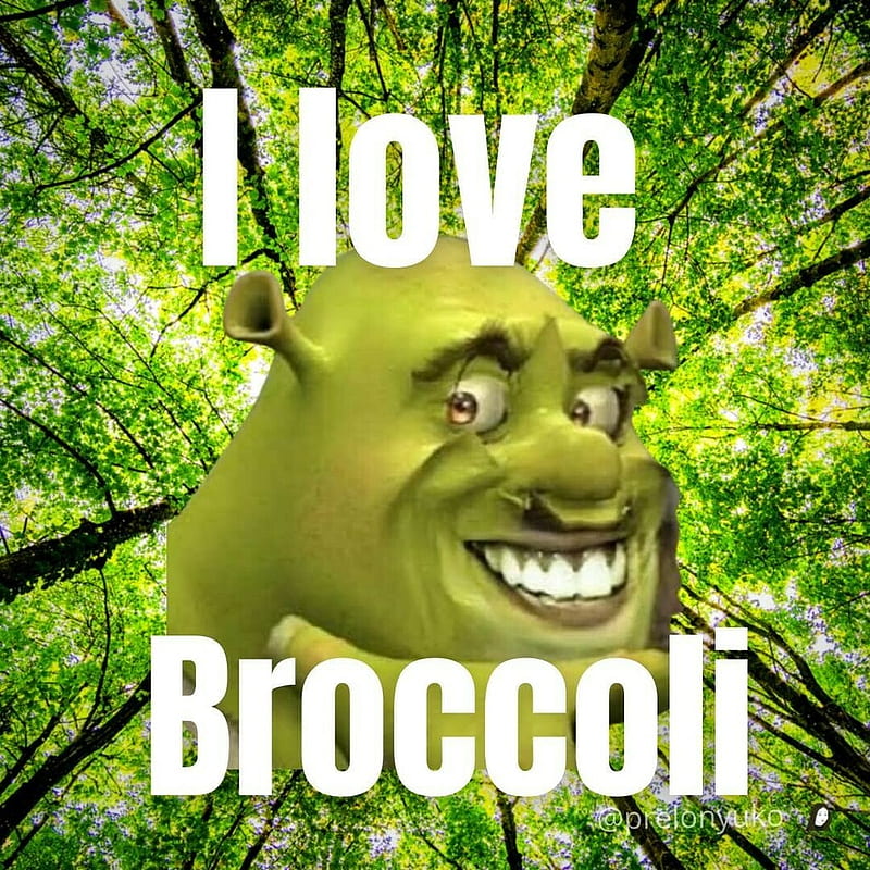 Daily Inspirational Shrek Meme - Follow for more Shrek memes! Do you love broccoli?, HD phone wallpaper