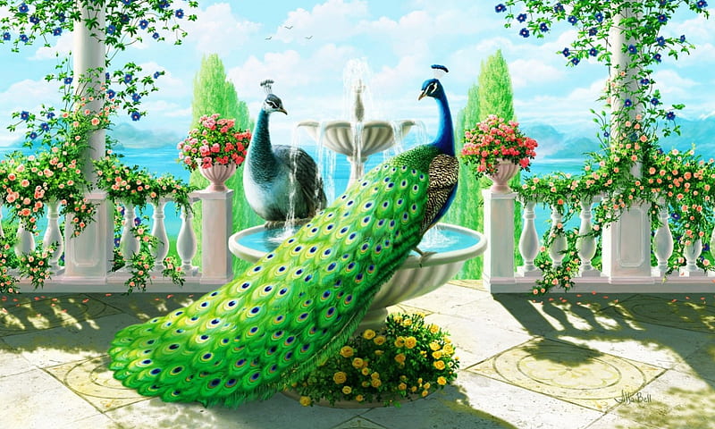 Peacock Grandeur, art, fountain, bird, peacock, bonito, portico, HD wallpaper