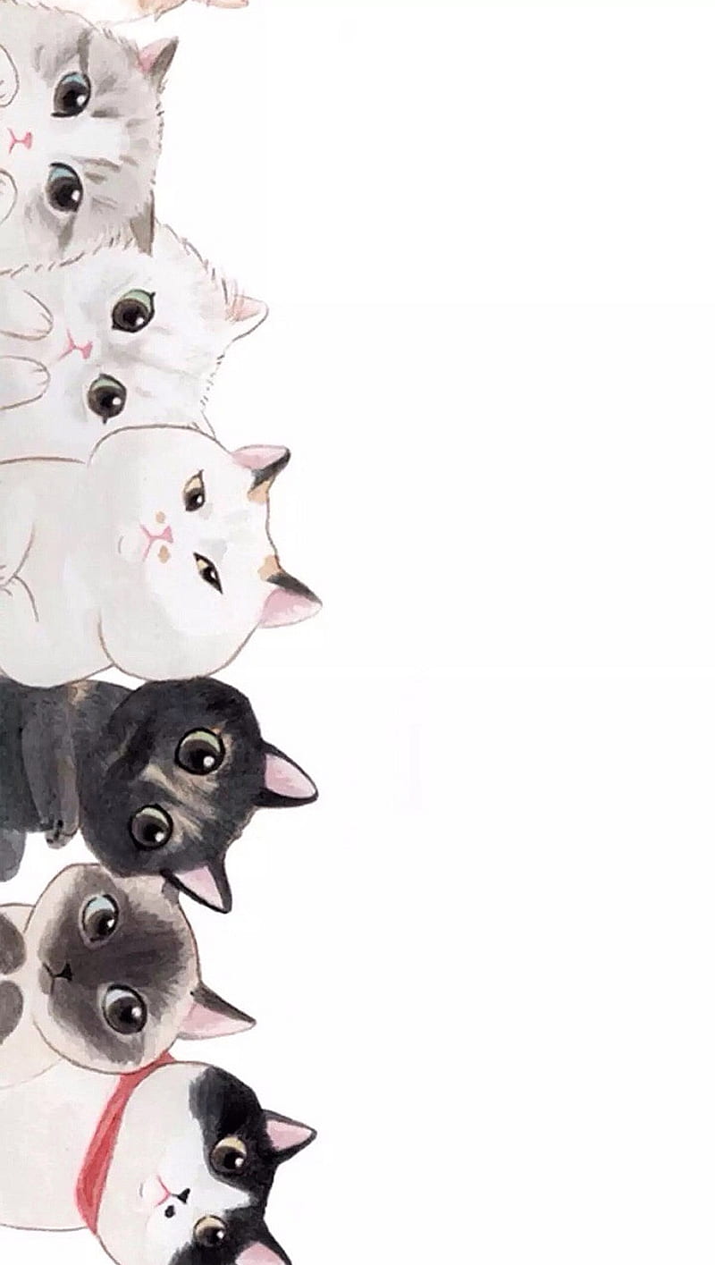 Kitty Cats, HD phone wallpaper