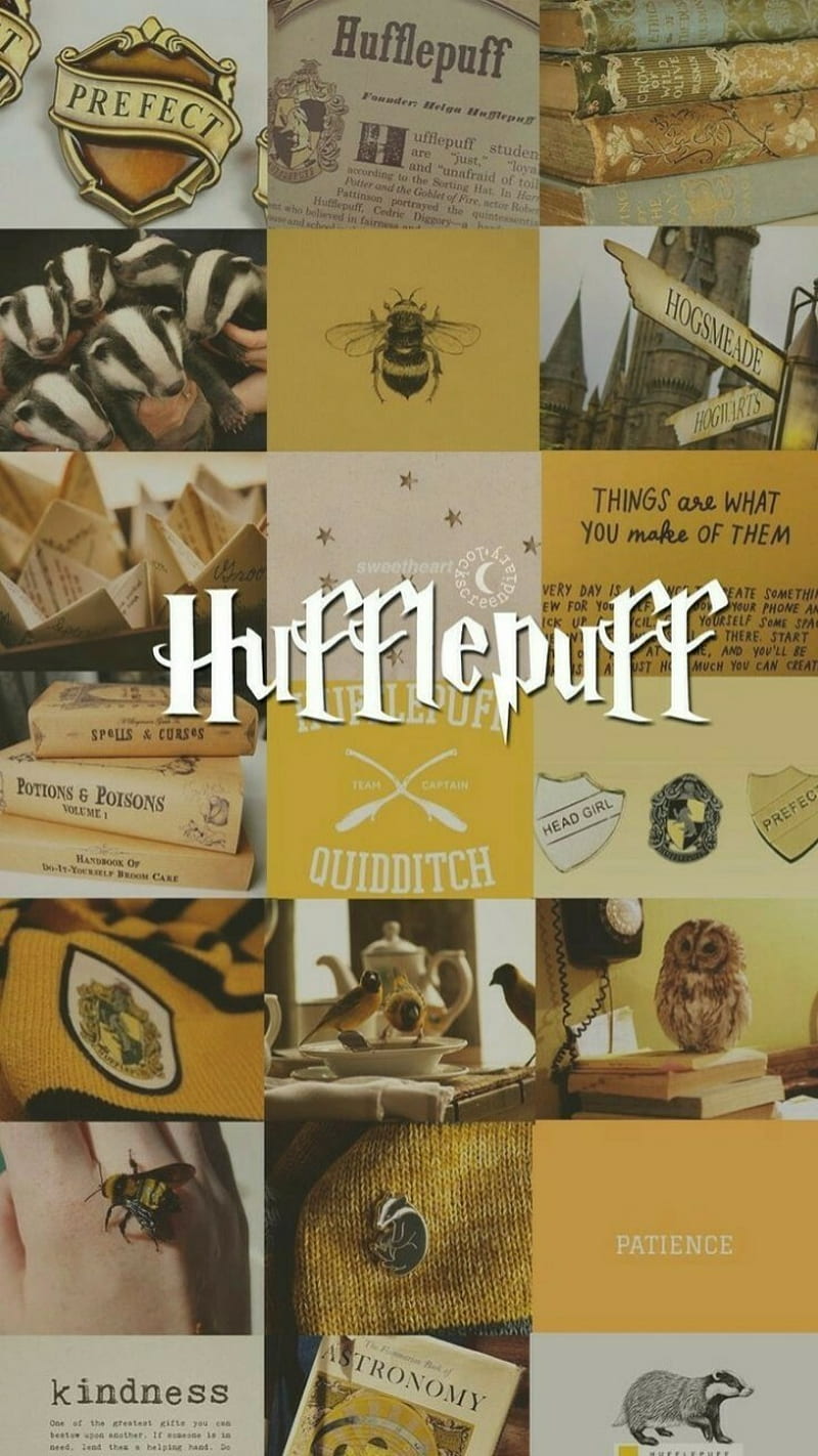 Hufflepuff Wallpaper  Top 30 Free Hufflepuff Backgrounds in 2021