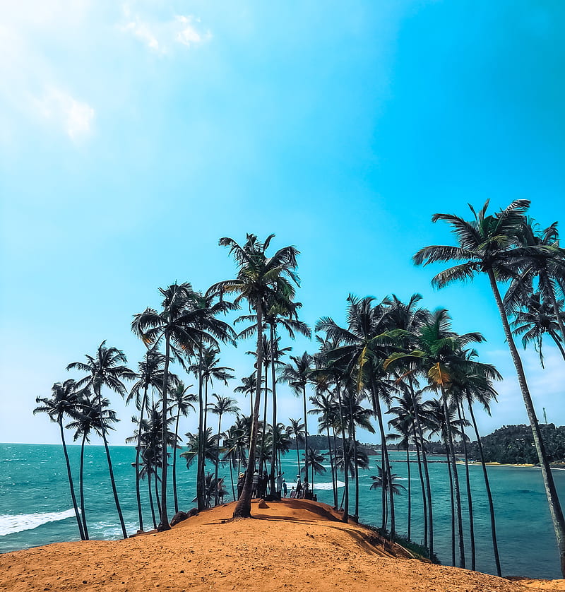 Sri Lanka, beach, beaches, breeze, island, mirissa, nature, sea, HD phone wallpaper