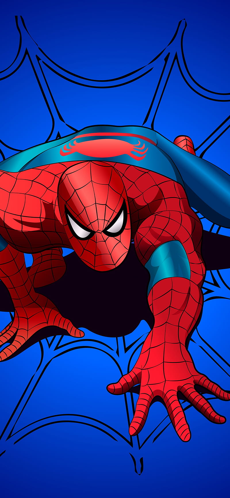 Spider Man, Blue Background, Marvel Superheroes, Graphics CGI, Spider Man  For, HD phone wallpaper | Peakpx