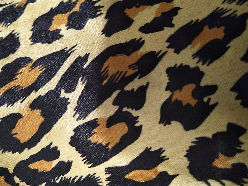 Cheetah, leopard, pattern, print, HD wallpaper