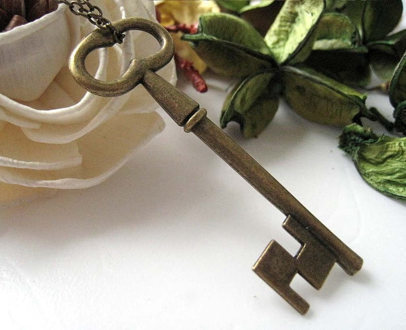 Skelleton key, gold, skelleton, necklace, key, HD wallpaper | Peakpx
