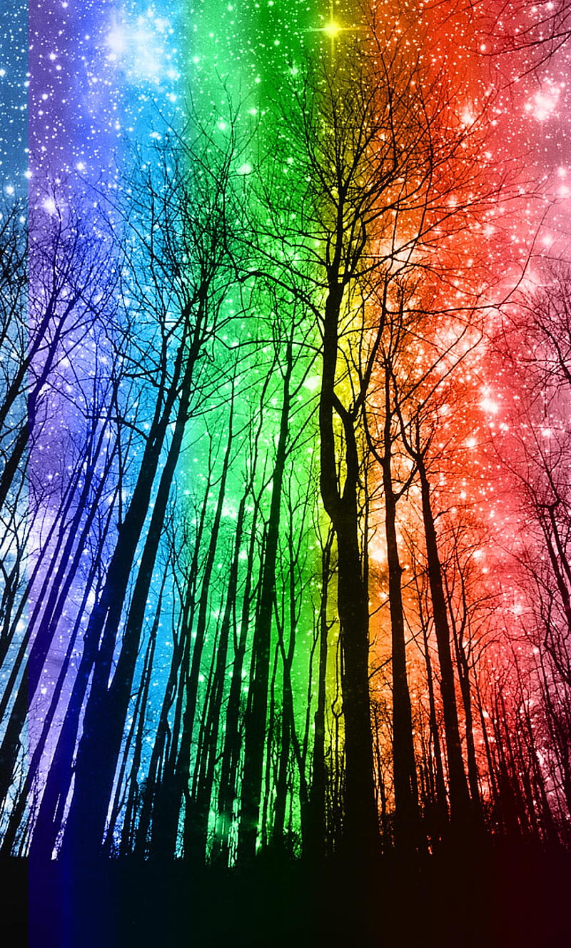 Rainbow Forest, dark, forest, night, rainbow, stars, trees, HD phone wallpaper