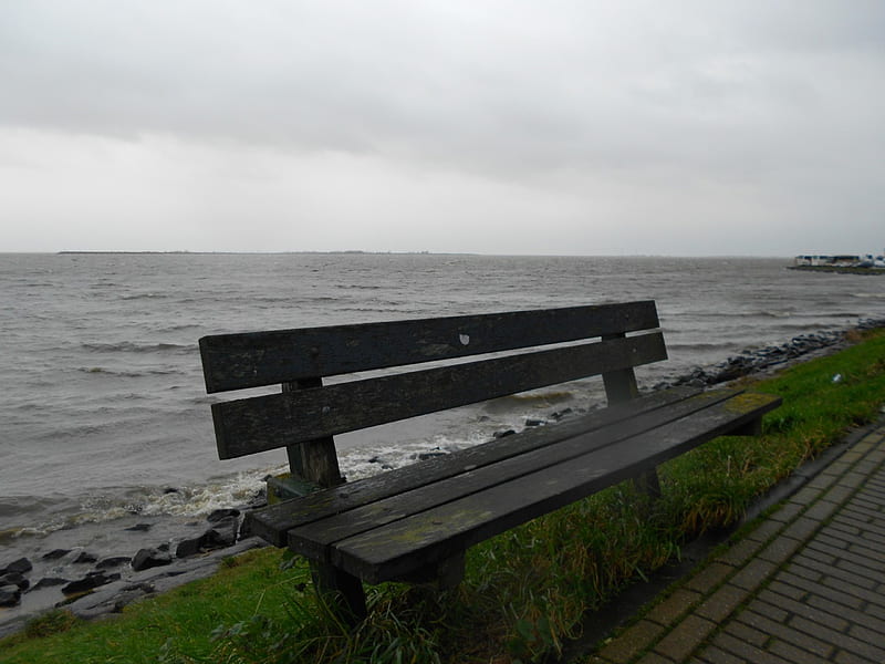 Rainy weather in winter Volendam, bench, volendam, rain, weather, HD wallpaper