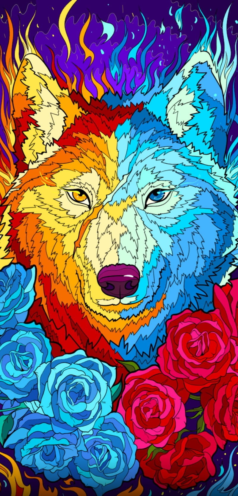 Ice, wolf, HD phone wallpaper | Peakpx