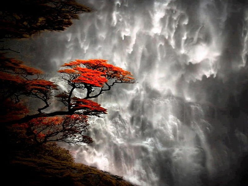 Tree on rock, colored tree, leaf color, rock, flower, waterfall, smoke, black depth, lights, HD wallpaper