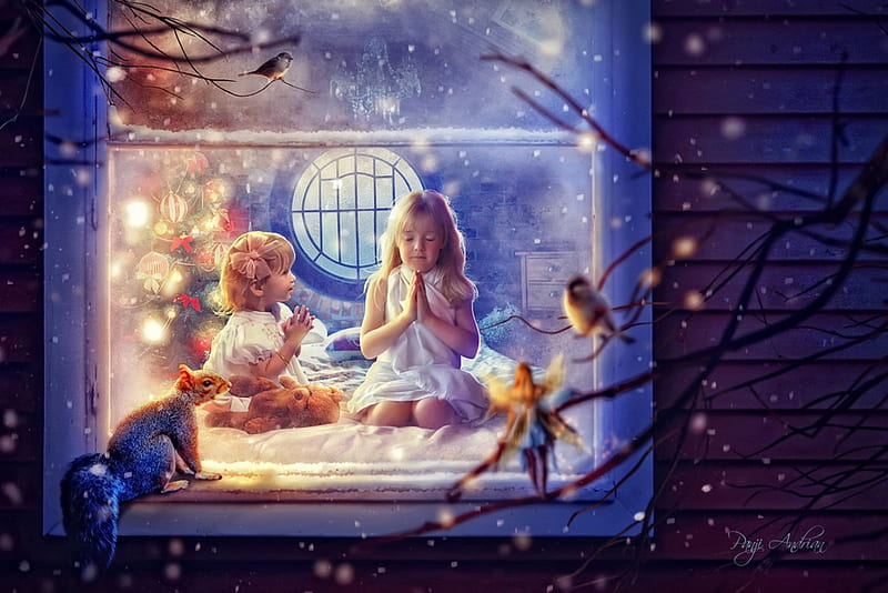 Christmas wish, squirrel, little, window, craciun, christmas, wish, pasare, children, lights, winter, fantasy, girl, bird, panjoool, copil, blue, HD wallpaper