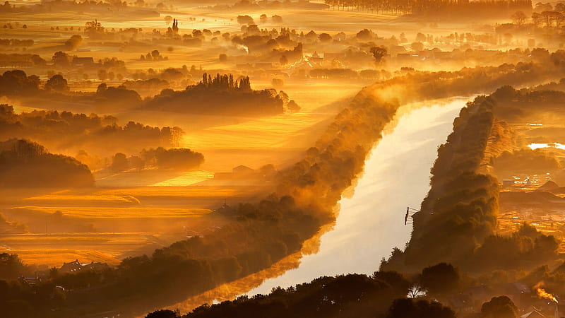 Golden dawn, aerial view foggy, yellow, fog, gold, splendor, scenario, morning, rivers, sunbeam, dawn, golden, silhouette, trees, panorama, hotography, water, sunshine, landscape, field, scenic, brown, icture, silver graphy, sun rays, smoke, scenery, beije view, shadow, spring, maroon, riverscape, plants, nature, natural, scene, HD wallpaper